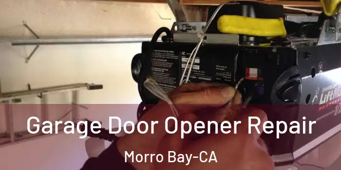  Garage Door Opener Repair Morro Bay-CA